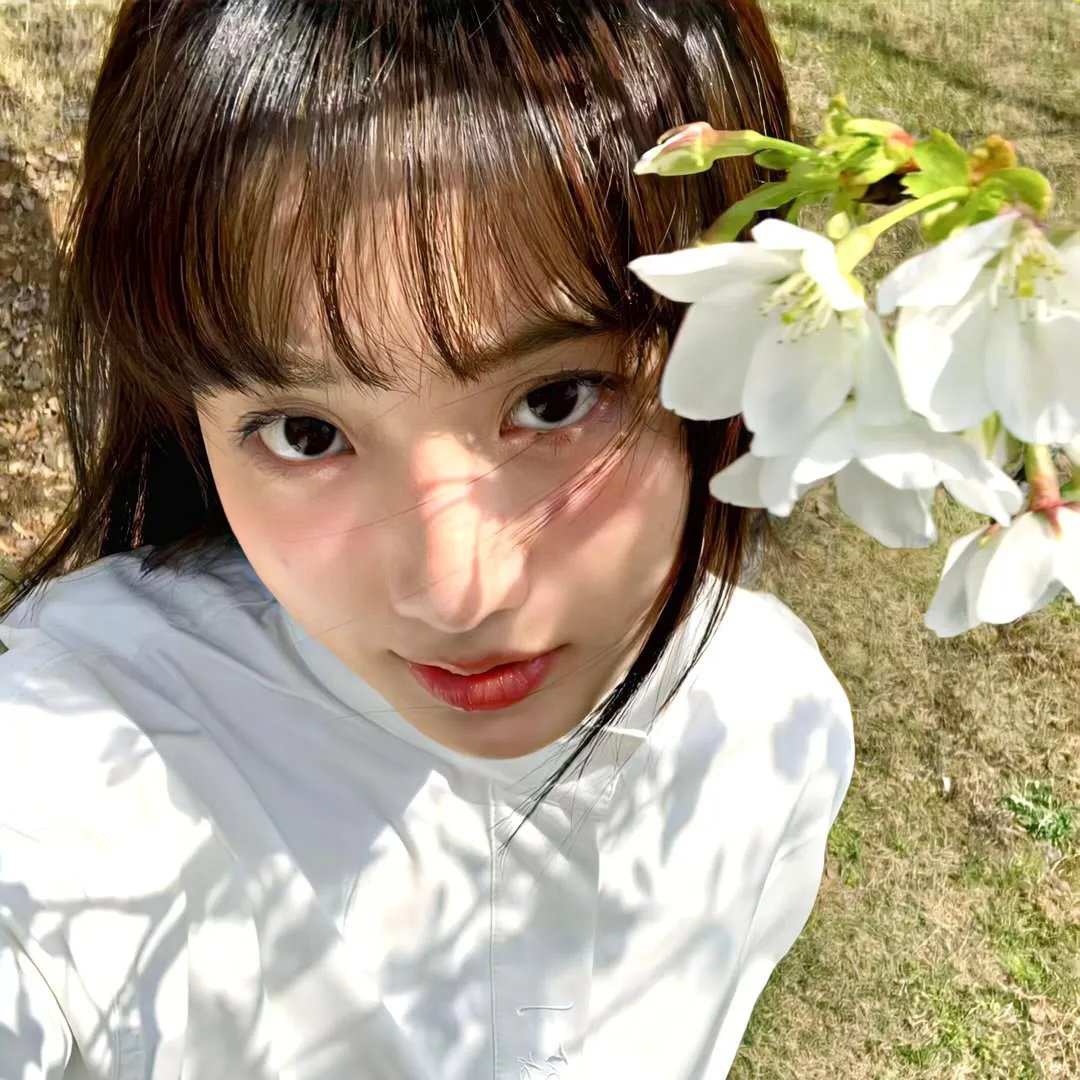 少林小英雄
